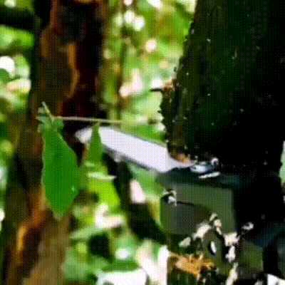 53be0d34a95a333af55c38c3f56de370