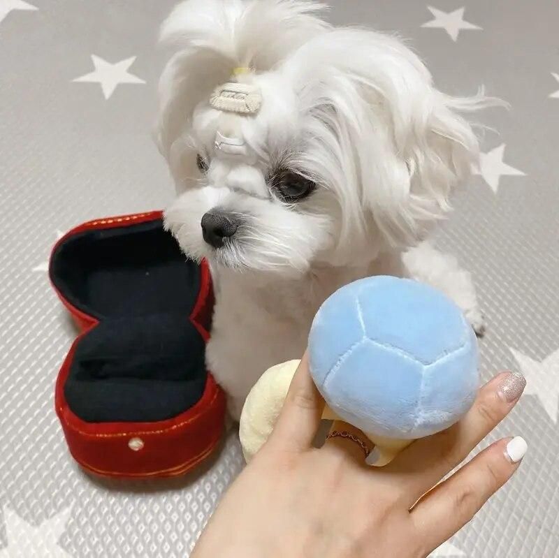 Creative Ring Box Plush Toy Love Diamond Ring Case Stuffed Pet Chew Toy Sounds Puppies Kids Cute Soft Dog Bitter Interested Toys Creative Ring Box Plush Toy Love Diamond Ring Case Stuffed Pet Chew Toy Sounds Puppies Kids Cute Soft Dog Bitter Interested Toys